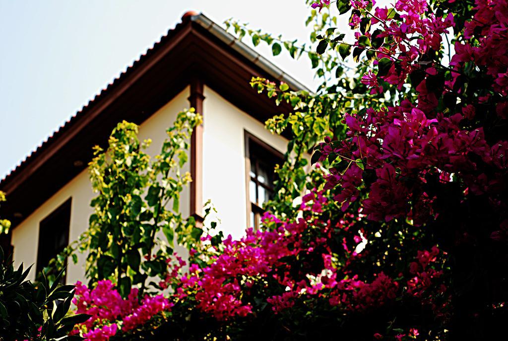 Deja Vu Hotel Antalya Exterior photo