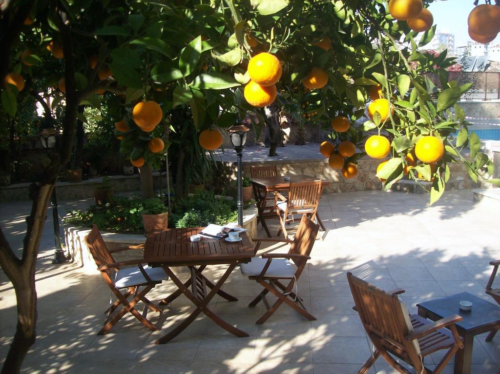 Deja Vu Hotel Antalya Exterior photo